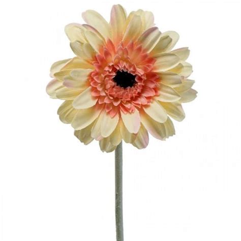 Floristik De K Nstliche Gerbera Blume Kunstblume Apricot Cm L Cm