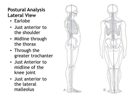 Exam Mobility Transfers Body Mechanics Bed Mobility Transfer