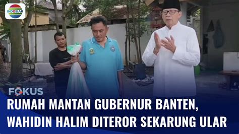 Rumah Mantan Gubernur Banten Wahidin Halim Diteror Sekarung Ular Kobra