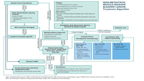 Treatment Of Non Metastatic Mibc Aua Asco Astro Suo Guidelines