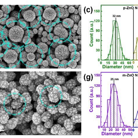 SEM Images Of P ZnO NSs Ag NPs A B And M ZnO NSs Ag NPs E F