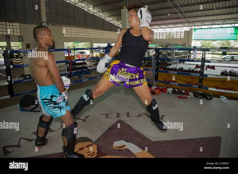 Saenchai Sor Kingstar World Champion Muay Thai Kick Boxertraining A