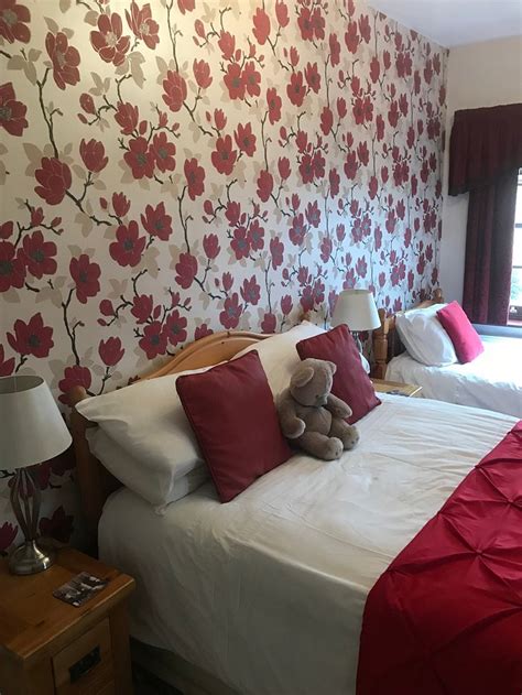 The Laurels Bed And Breakfast Prices And Bandb Reviews Cardiff Wales