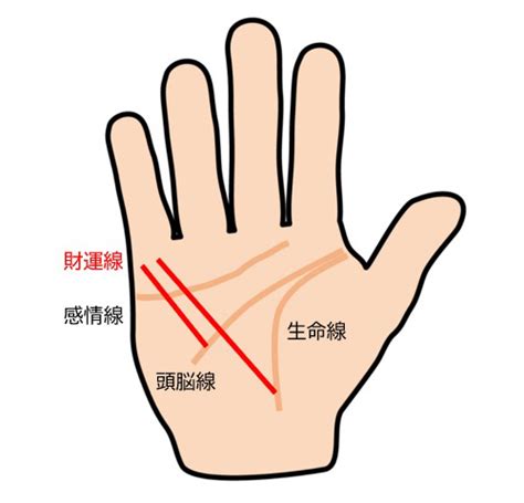 【手相占い】小指の下から斜めの線は財運線？ その意味や見方を占い師が教えます！ Oggijp