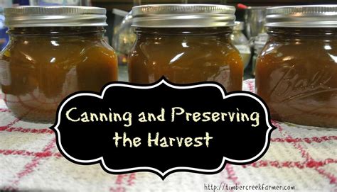 Canning And Preserving The Harvest