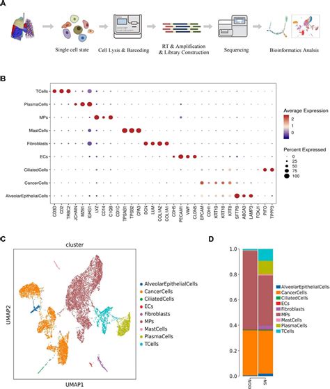 Frontiers Single Cell Rna Sequencing Reveals Distinct Tumor