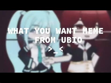 What You Want Meme Asteria Hatsune Miku By UBIO D YouTube