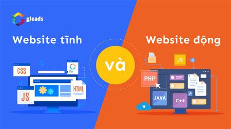 Web tĩnh và web động là gì 5 cách phân biệt sự khác nhau Gleads