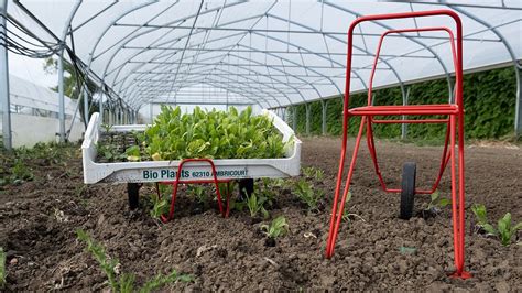 Terrateck Harvesting And Single Wheel Planting Trolley For 60x40