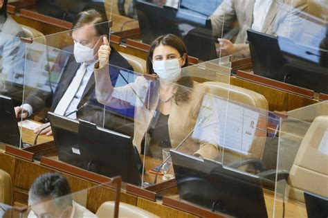 Diputada Sof A Cid Destac Promulgaci N De Ley Que Sanciona A Quienes