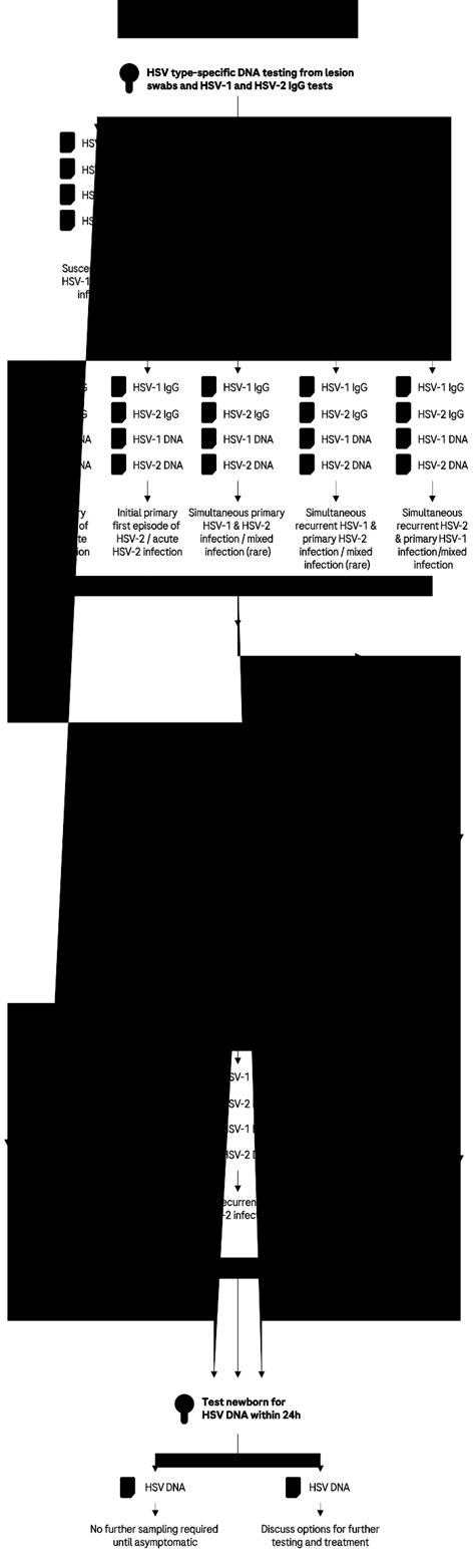 Roche Interactive Testing Algorithm