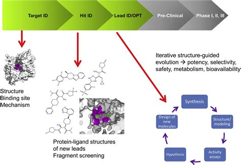 Cryo Em For Small Molecules Discovery Design Understanding And Application Cell Chemical Biology