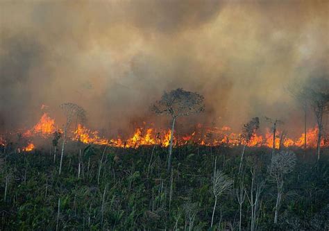 Amazonia en llamas con casi 3 mil incendios se bate un nuevo récord