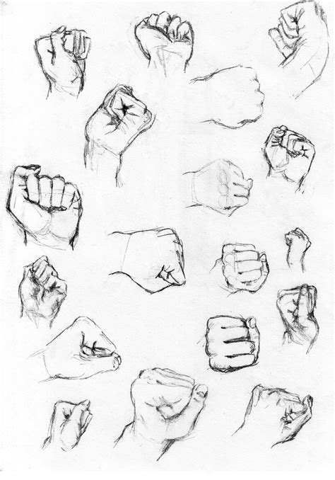 Fist Study by cstarcassowarie on DeviantArt