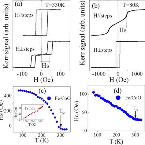 Color Online Hysteresis Loops Of A Fe 18 Nm CoO 4 Nm Bilayer On A