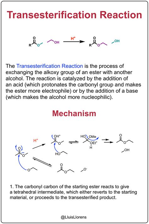 Transesterification Reaction Mechanism