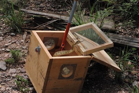 How to Make a Snake Trap: Learning How to Catch a Snake