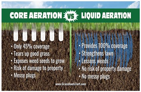 Liquid Aeration for Lawn Care - Lawn Care Services and Weed Control ...