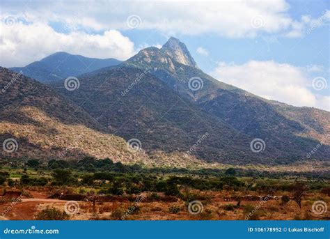 Tanzania Mountains stock photo. Image of herd, elephant - 106178952