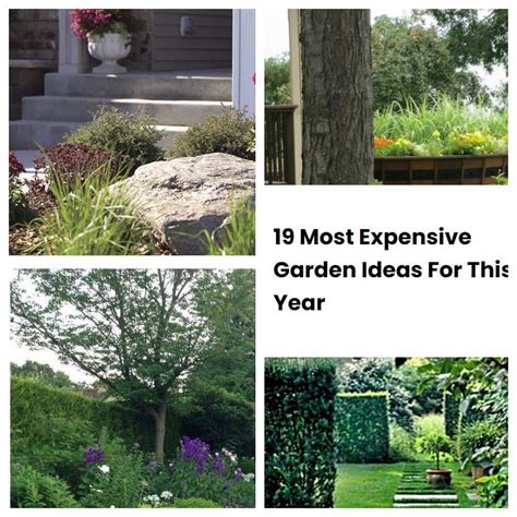 19 Most Expensive Garden Ideas For This Year | SharonSable