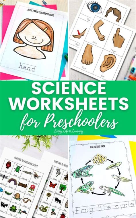 Science Worksheets for Preschoolers