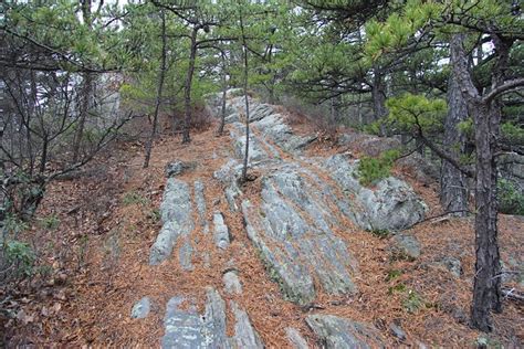 Friday Field Photo 165 Sandstone Along The Appalachian Trail Wired