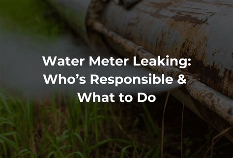 Water Meter Leaking: Who’s Responsible & What to Do