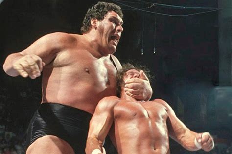 The Triumph And Tragedy Of Andre The Giant