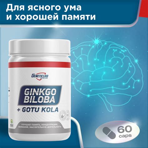 Гинкго билоба против старения Geneticlab Nutrition 60 капсул витаминно ...