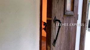 Watch Sdss White Transparent Pov Porn SpankBang