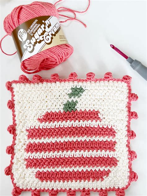 Crochet Pumpkin Stripe Hot Pad Daisy Farm Crafts