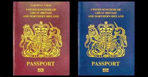 Dual Citizenship Pros Cons And How To Get A Second Passport In 2023