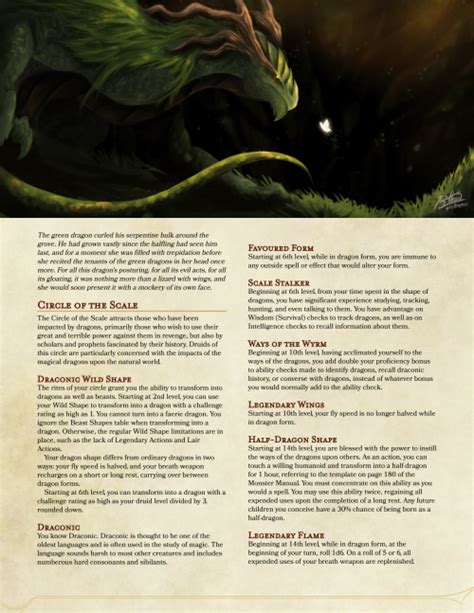 Druid Guide 5e Tasha Yoiki Guide