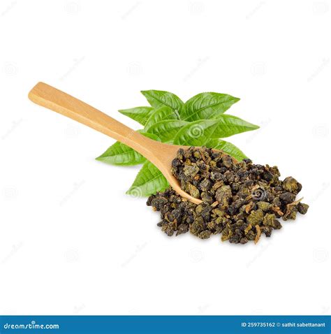 Green Tea Leaf Isolated On White Background Stock Photo Image Of