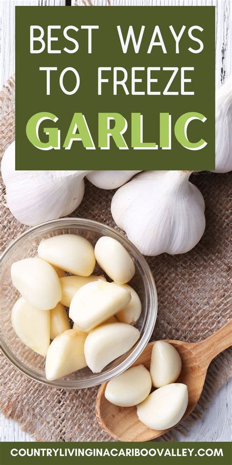 How to Preserve Garlic in Oil - and Other Ways to Store Garlic | Recipe | Preserving garlic, Can ...