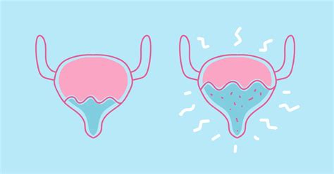 Peeing After Sex Here S Why Every Woman Should Do It