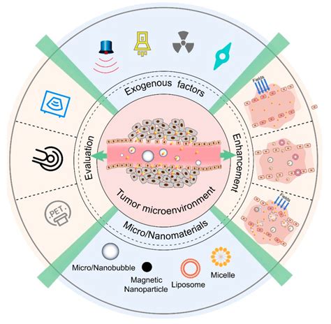 Jpm Free Full Text Recent Advances In Tumor Targeting Via Epr