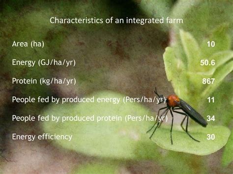 Agroecology: Principles and Practices