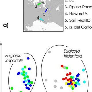 Similarity of fragrance phenotypes of three Euglossa species from six... | Download Scientific ...