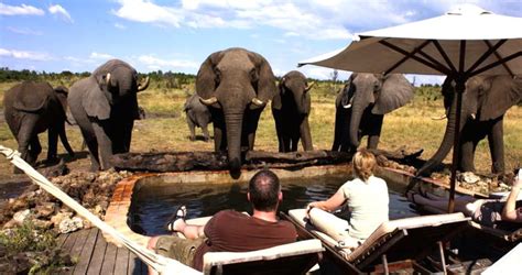 Zimbabwe Safari Tours - Zimbabwe Safari Lodges