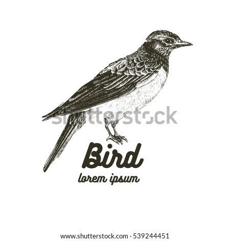 Lark Bird Stock Images, Royalty-Free Images & Vectors | Shutterstock