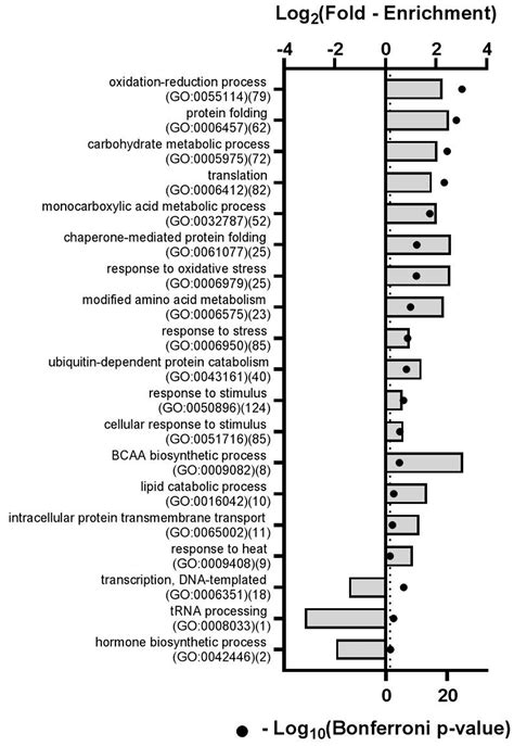 Phloem Exudate Protein Profiles During Drought And Recovery Reveal