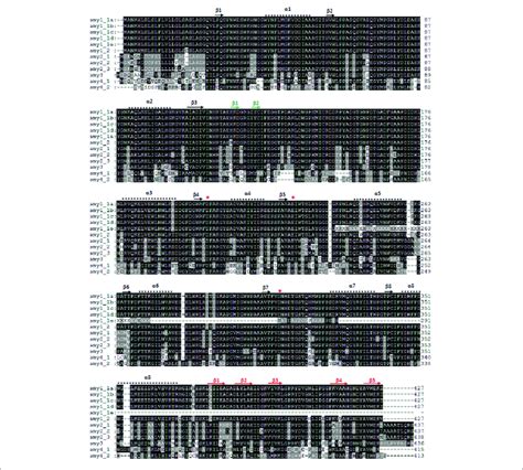 Alignments And Secondary Structures Of Barley Amy Proteins Barley