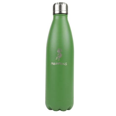 Aquapelli 16oz Vacuum Insulated Stainless Steel Water Bottle Wayfair