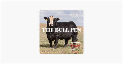 ‎The Bull Pen on Apple Podcasts