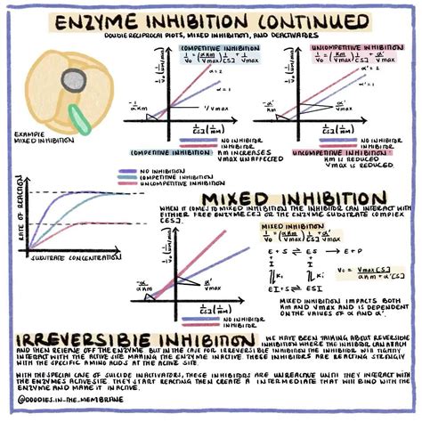 Enzyme inhibition – Artofit