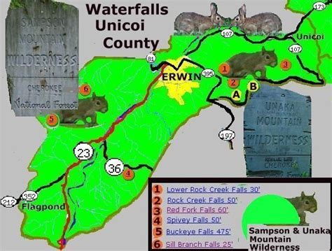 Unicoi County Waterfalls: Explore the Natural Beauty of Tennessee