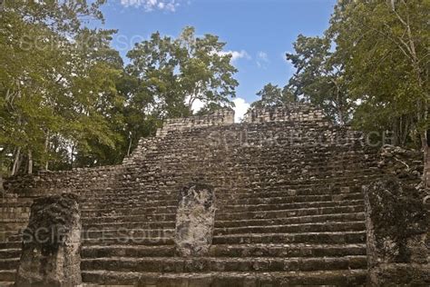 Photograph | Calakmul Ruins | Science Source Images