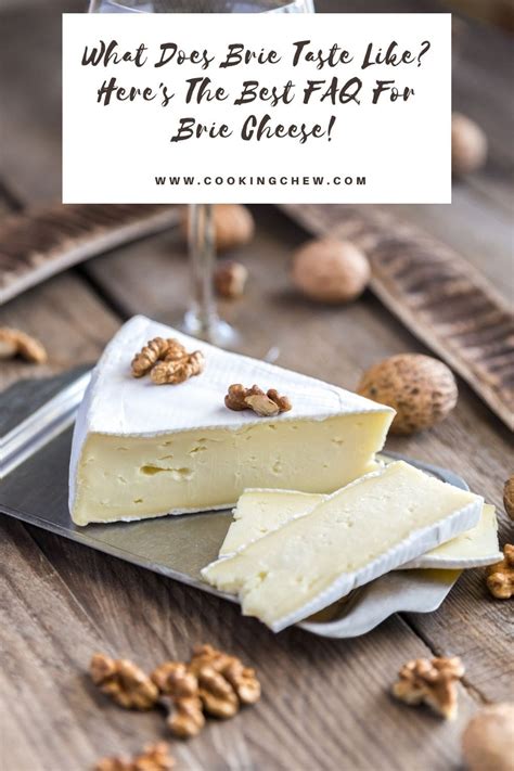 What Does Brie Taste Like The Best Faq For Brie Cheese