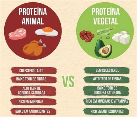 Proteína Animal X Proteína Vegetal Portal De Nutrição